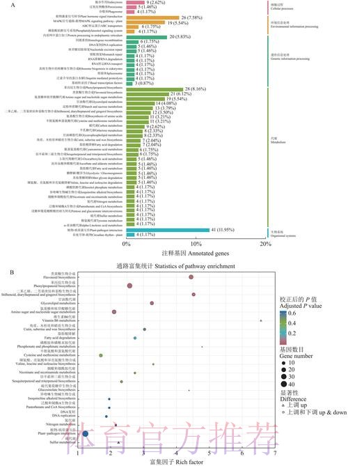 本届世界杯巴西凯恩数据统计全解析